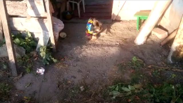 Романовка 10.10.2023 смотреть онлайн