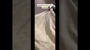 Пердеж Приколы 2022 Тик ток Тест на психику Ржака до слез Проблемы Какие то Пранк над другом