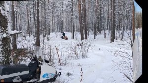 Заготовка дров на мотобуксировщике Барбос