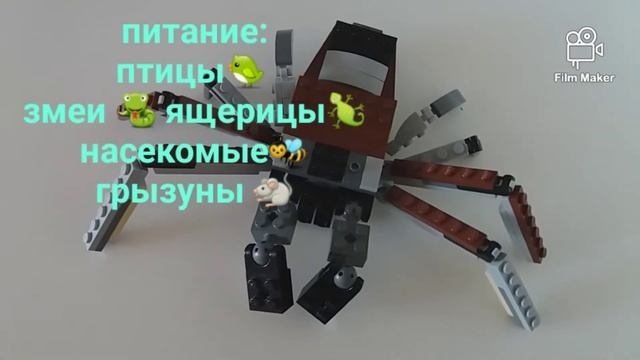 #ПАУК-ПТИЦЕЕД #LEGO #Theraphosidae самый большой #ПАУК в мире #ГОЛИАФ