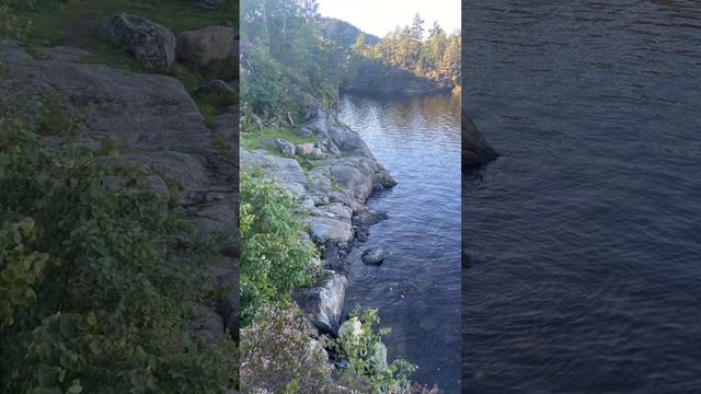 Mackerelfishing with a trick(Follow me and i will show more #fishing #mackerelfishing #norway