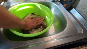 Как Солить и Сушить РЫБУ. Вяленая Рыба. Простой Способ Засолки Таранки. Рецепт сушеной красноперки.