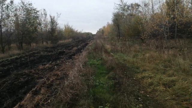 Рынок недвижимости. Что сейчас происходит? смотреть онлайн