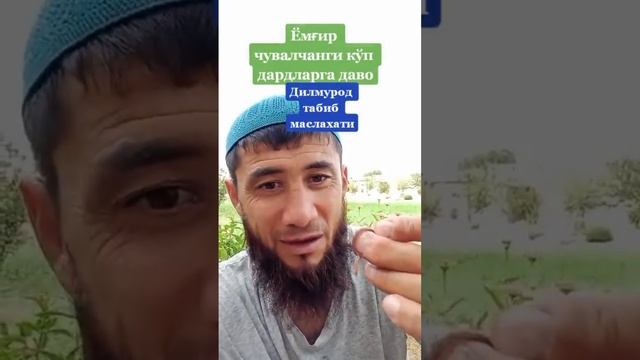 CHUVALCHANGNI SHIFOBAHSHLIGINI TABIB EB KORSATIB BERDI смотреть онлайн