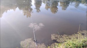 ✔Первая 🐟рыбалка🎣 на новом месте🏘️ ✔