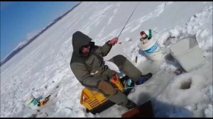 Ловля корюшки на махалки Mr. Musurok Lures&Rods на о. Кунашир