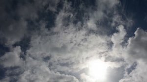 Кто видел Бога и к кому являлась Богородица? Митрополит Павел