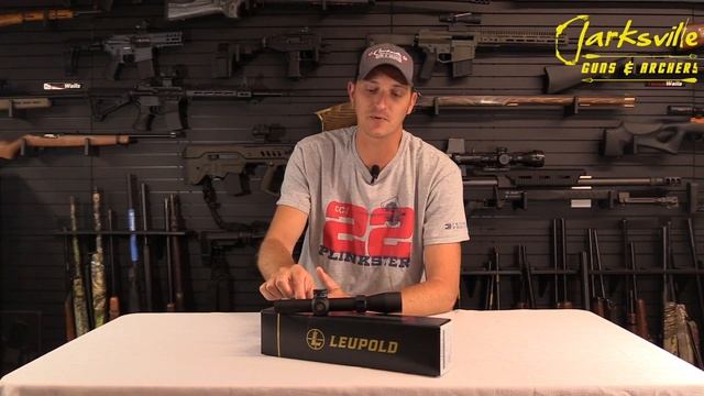 Luepold Mark AR Mod 1 Firedot Scope - Is the Luepold Mark AR Mod 1 the best AR-15 Scope? смотреть онлайн