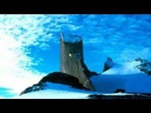 Мега пень в Антарктиде