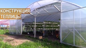 Конструкция теплицы для выращивания земляники малообъемным методом. Овощи Кубани