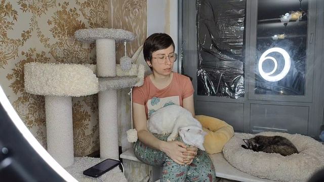 Спонедельником ☺️ Поболтаем? часть два