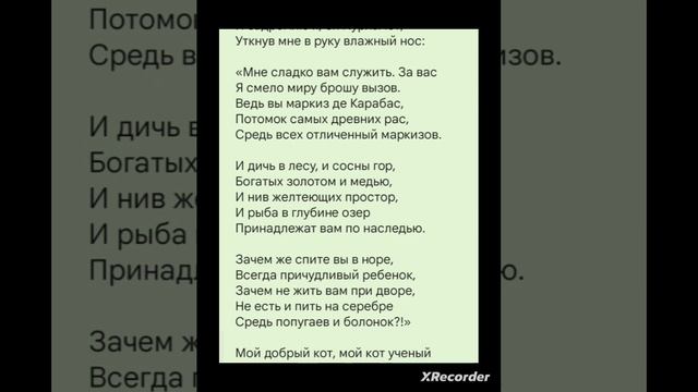 Николай Гумилев — Маркиз де Карабас. Красивый стих о коте. #стихи #2023 #любовь #кот #школа #маркиз