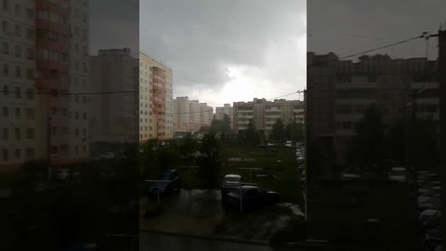 грибы 006 смотреть онлайн