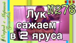 Как вырастить Лук Зимой за 12 дней. ЛУК зимнее выращивание / СУПЕР СПОСОБ