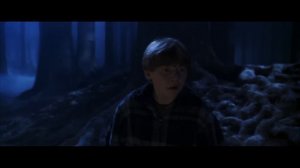 Follow the Spiders | Harry Potter and the Chamber of Secrets