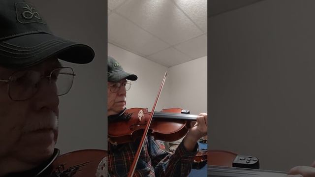 Turkey in the Straw GEWA fiddle смотреть онлайн