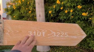 Novotel Palm 5* Sharm El Sheikh - обзор 12.01.2022