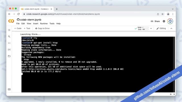 Run a full TTY Terminal in Google Colabs free tier