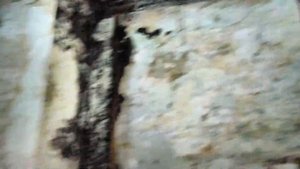 Начало реставрации знаменитого ресторана "Славянский базар" на Никольской улице