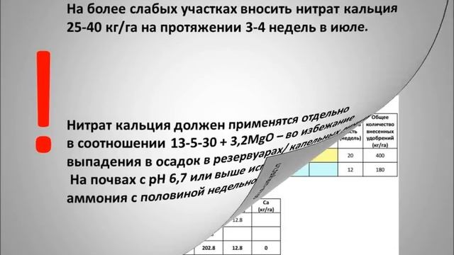Подкормка малины и ежевики. Европейские рекомендации. смотреть онлайн