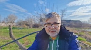 Обработка деревьев весной медным купоросом. Обработка от вредителей и болезней плодовых деревьев.