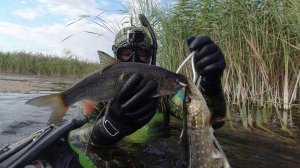 Подводная охота сплавом на малой реке с арбалетм осень