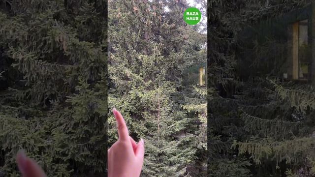 Друзья, как считаете, какой размер дома идеален?? WA 8(969)724-77-77 ⬅️Ваш идеальный дом по ? цене смотреть онлайн