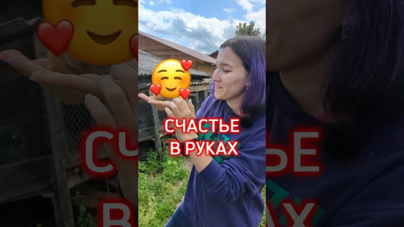 А вы держали цесаренка на ладони? Эта жизнь прекрасна! Приезжайте в гостевую ферму Поповых на Алтай