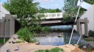 Мои Мытищи..wmv