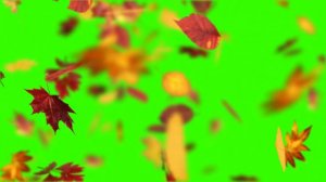 Падающая осенняя листва на зеленом фоне