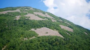 Беседка Ушуистов. Анисимовка, Шкотовский район. Путешествия по Приморскому краю.