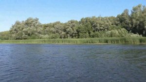 Выход на Волгу.  Река Татьянка, протока Сухая Самарка.  Остров Коровий