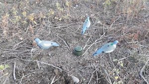 механический манок на вяхиря