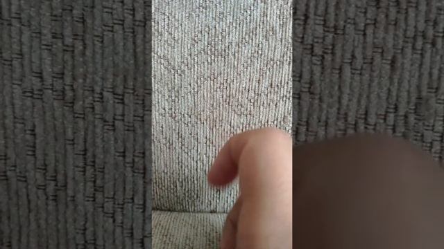 Как правильно тыкать пальцем в диван