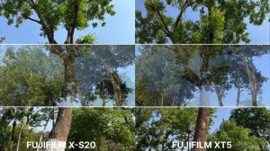 Fujifilm X-S20 Vs Fujifilm X-T5 Camera Test Comparison