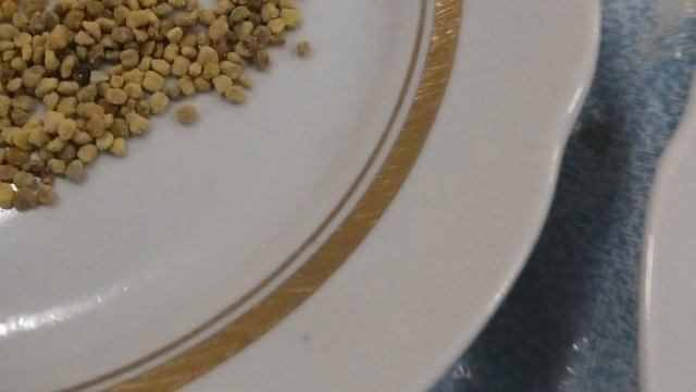 ПЧЕЛИНАЯ ПЫЛЬЦА ДЛЯ ЧЕГО ПРИМЕНЯЕТСЯ.