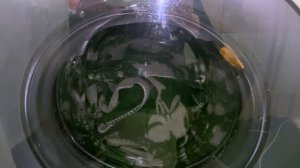 Стиральная машина LG. СУШКА .ВОРС от шерстяного одеяла. Это максимум