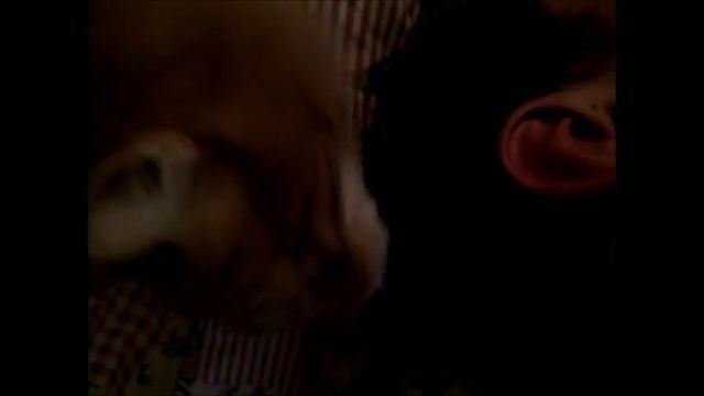 Кот Зил устроил головомойку своему хозяину. смотреть онлайн