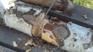 Мастерская "Слон & К." Тест ножа из дамасской стали. Часть 3.