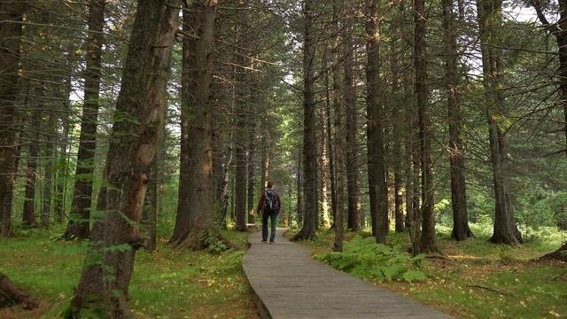 Лучший музей Байкала. Визит центр Байкал заповедный. Танхой.