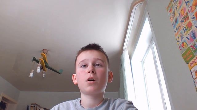 Основные моменты про породу чихуахуа смотреть онлайн