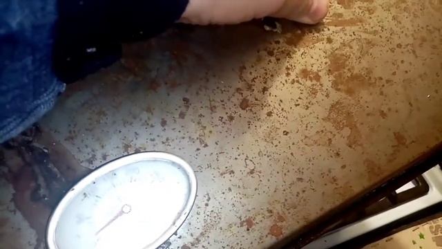 копченыe перепелиные яйца. Как замариновать и закоптить перепелиные яйца.