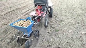 Картофелесажалка для мотоблока