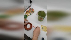 Применение хлореллы для растений.