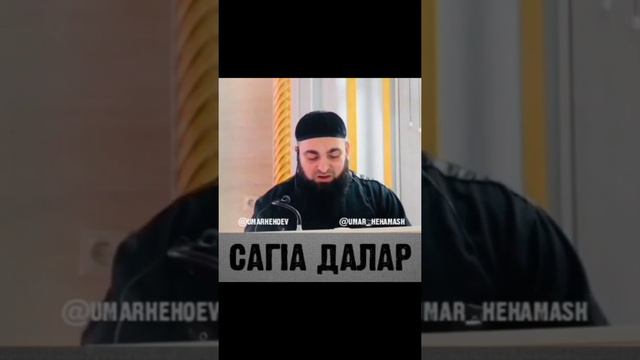 УМАР ХЕХОЕВ "САГ1А ДАЛАР"ХЕХАМ