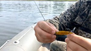 Учу ловить на джиг. р. Томь в районе Березовки.