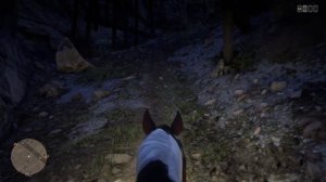 TRAILRIDE in Red Dead Online|| ASMR|| RDO|| Thelonelycunningfox