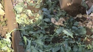 Блогер Виталий Декабрев рассказывает о Почвоулучшителе Reasil