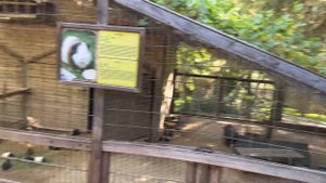 Большой Зоопарк в Анталии. Обзор. Заплатили меньше 1$