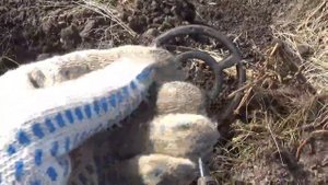 Место старое. Монеты разные.